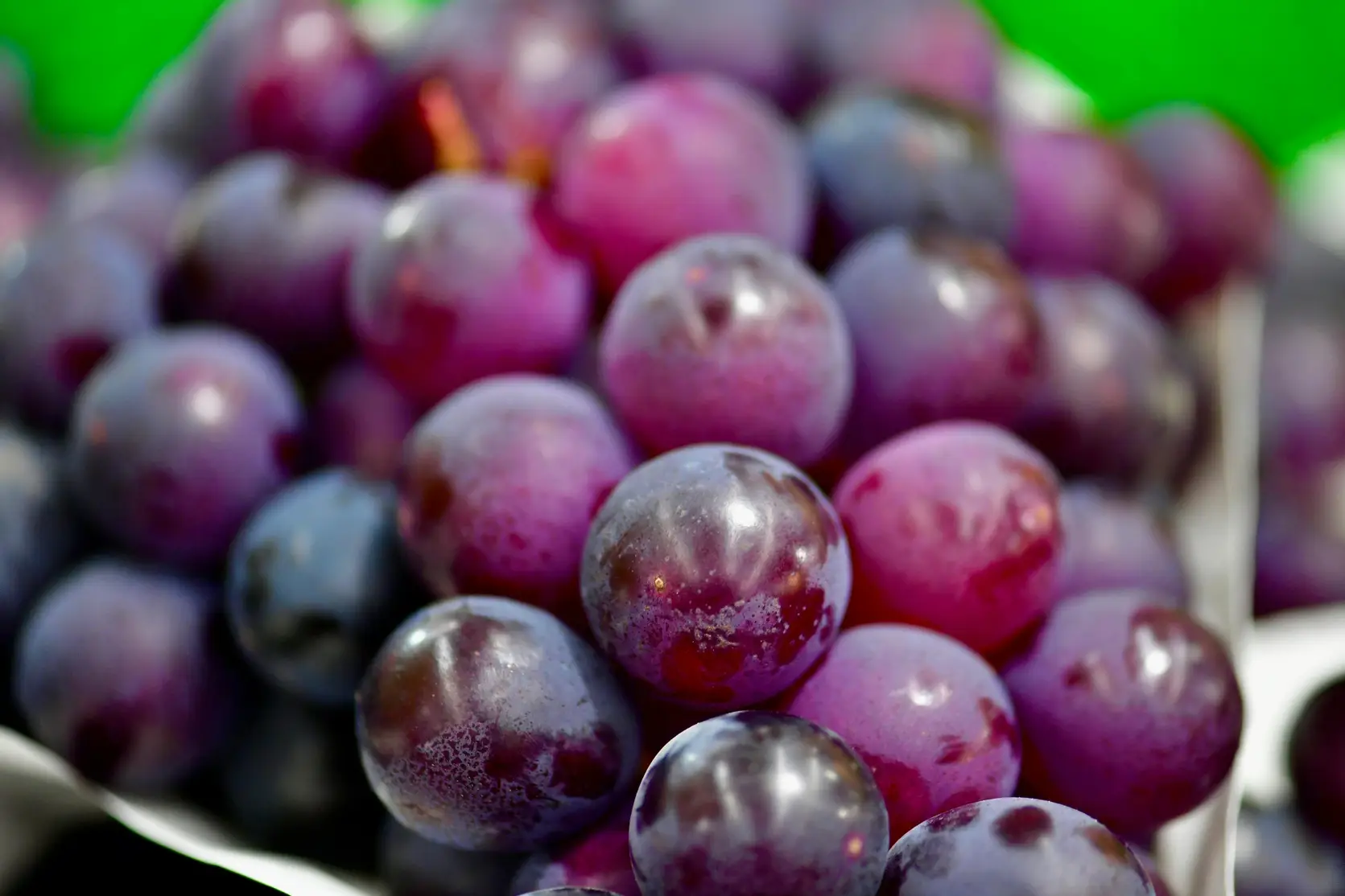 Grape